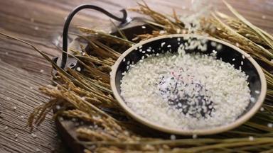 大米收获谷物实拍素材