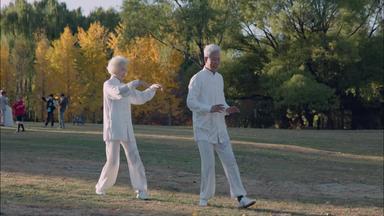 幸福的老年夫妇在公园里练<strong>太极拳</strong>