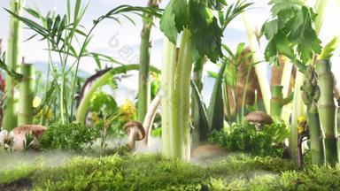 健康食材蔬菜风景<strong>绿色食品</strong>视频