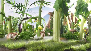 健康食材蔬菜雾体模型宣传片