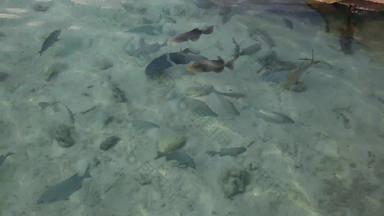马尔代夫海滩自然地理自然美高质量实拍