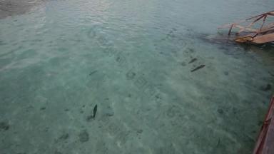 马尔代夫海滩度假旅行视频素材