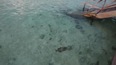 马尔代夫海景旅游目的地风景实拍素材