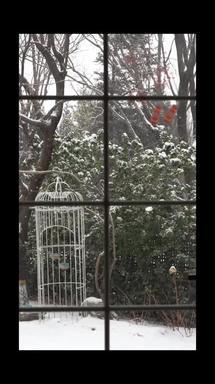 庭院雪景雪园林影像