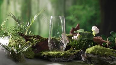 林间青苔上的玻璃杯宁静高清实拍