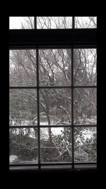 庭院雪景自然实拍素材