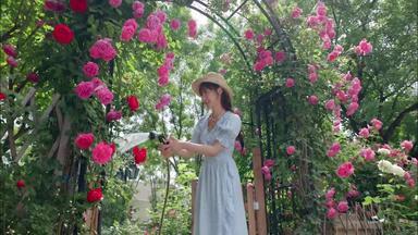 年轻美女在庭院里浇花花影像