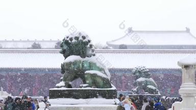 雪中故宫的铜狮子寒冷的群高清实拍