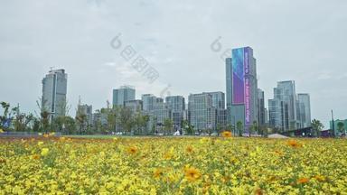 杭州建筑风光绿化宣传片