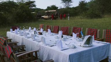 非洲草原餐厅马赛马拉4K分辨率实拍