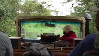 肯尼亚自然度假实拍