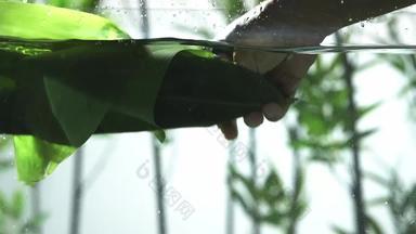 手拿粽叶在水中舞动绿色宣传素材
