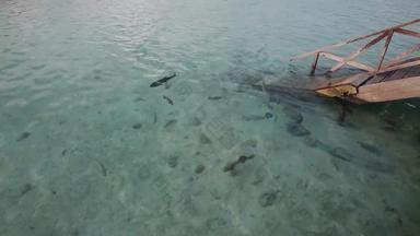 马尔代夫海滩海岸地形自然高清实拍
