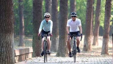 青年情侣骑自行车头盔树林素材