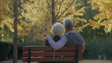 老年夫妇老年人浪漫永远树高清实拍