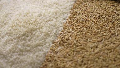 大米和稻谷影像