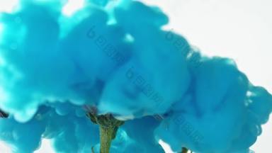 颜料在水中溶解与雏菊碰撞艺术影片