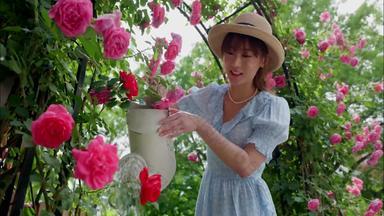 年轻美女在庭院里浇花花粉色视频