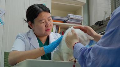青年女人医疗医生医疗工具动物诊疗室素材