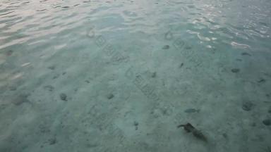 马尔代夫海滩水4K分辨率素材