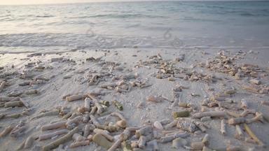 马尔代夫海滩海岸地形素材
