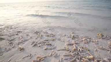 马尔代夫海滩自然美4K分辨率岩石摄像