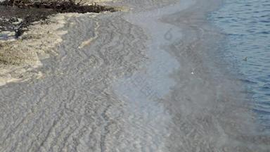 脏泡沫水海岸污染海海洋环境问题图兹拉河口敖德萨地区乌克兰