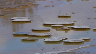 algae-bacterial垫热热春天热池黄石公园国家公园怀俄明美国