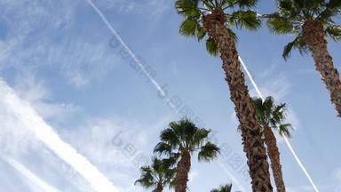 手掌这些洛杉矶加州美国夏季审美圣诞老人莫妮卡威尼斯海滩太平洋海洋清晰的<strong>蓝色</strong>的天空标志性的棕榈树<strong>大气</strong>贝弗利山好莱坞共鸣