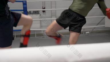 低踢腿跆拳道运动员体育运动锻炼