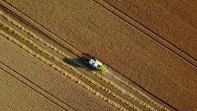 空中视图结合收割机开车巨大的小麦场rhineland-palatine德国