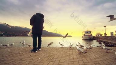 男人。喂养飞行海鸥码头奥赫里德湖马其顿日落