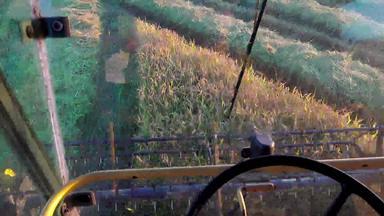 农民开车结合收割机收获小麦大米黑麦索尼拍摄