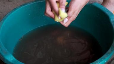 女性的手洗小年轻的土豆污垢