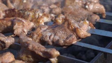 开胃的多汁的猪肉烧烤烹饪金属串木炭烧烤火烟特写镜头视图