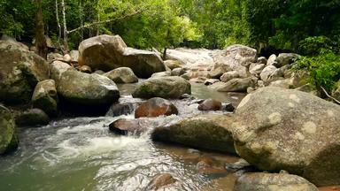 山河流动热带雨林没完没了的冥想视频流热带异国情调的丛林森林溪流深木石头级联瀑布绿色植物树无缝的循环