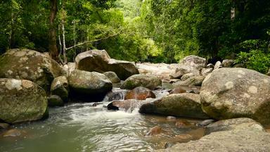 <strong>山河</strong>流动热带雨林没完没了的冥想视频流热带异国情调的丛林森林溪流深木石头级联瀑布绿色植物树无缝的循环