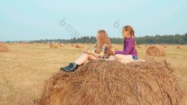 少年女孩坐着干草堆夏天一天