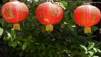 纸灯笼破旧的建筑红色的纸灯笼挂天花板饱经风霜的混凝土寺庙建筑阳光明媚的一天多汁的绿色植物东方国家传统的装饰