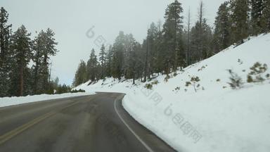 雪雾寒冷的森林开车汽车路旅行冬天犹他州美国松柏科的松树神秘视图车挡风玻璃有雾的布莱斯峡谷林地平静大气乳白色的阴霾木
