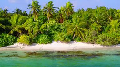 空纹理热带度假胜地海滩野生动物蓝色的水清洁桑迪背景度假胜地