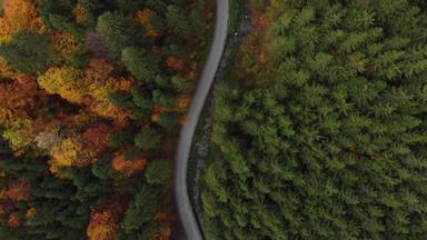 多风的弯曲的路色彩斑斓的森林秋天空中无人机镜头前视图