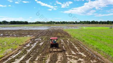 拖拉机准备土壤播种大米农业工作菲律宾