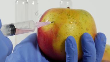 女人手套注射器遗传修改水果
