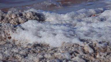 库亚尔尼克河口黑色的海白色泡沫晶体表格盐封面石头海岸盐湖