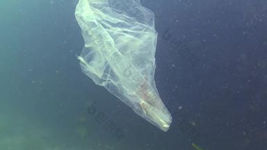 塑料袋海杀手螃蟹塑料碎片污染死亡水生动物黑色的海