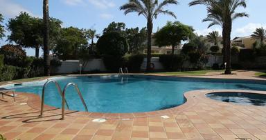 游泳池太阳椅棕榈树温暖的阳光明媚的一天天堂目的地假期后院游泳池花园完整的棕榈树花后院游泳池
