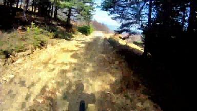山地自行车森林股票视频