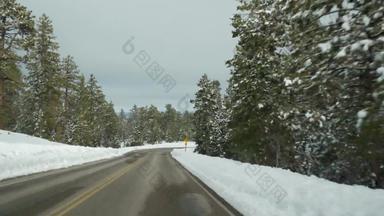 雪寒冷的森林开车汽车路旅行冬天犹他州美国松柏科的松树视图车挡风玻璃圣诞<strong>节</strong>假期12月旅程布莱斯峡谷生态<strong>旅游</strong>森林