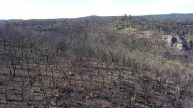 空中镜头森林再生bushfires蓝色的山区域南威尔士澳大利亚